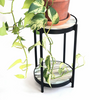 Ebb + Flow: Plant Stand - Guided Workshop (1-day)